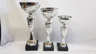 Silver cup trophies