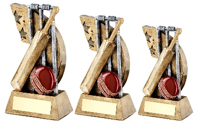 Cricket trophy bat, ball and stumps